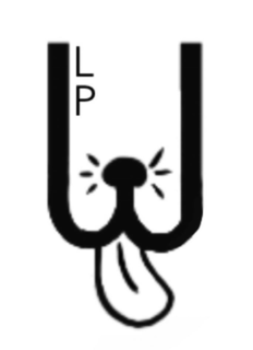 LP trademark