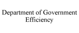 DEPARTMENT OF GOVERNMENT EFFICIENCY trademark