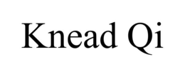 KNEAD QI trademark
