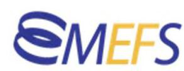 MEFS trademark