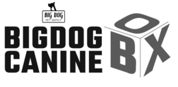 BIG DOG PET SUPPLY BIGDOG CANINE BOX trademark