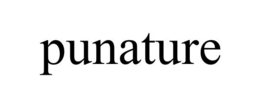 PUNATURE trademark