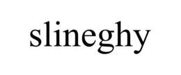 SLINEGHY trademark