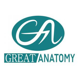 GA GREAT ANATOMY trademark