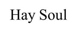 HAY SOUL trademark