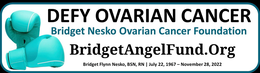 DEFY OVARIAN CANCER BRIDGET NESKO OVARIAN CANCER FOUNDATION BRIDGETANGELFUND.ORG BRIDGET FLYNN NESKO BSN, RN JULY 22, 1967 - NOVEMBER 28, 2022 trademark