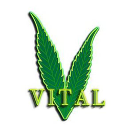 VITAL trademark