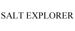 SALT EXPLORER trademark