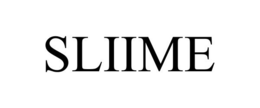 SLIIME trademark