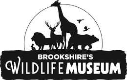 BROOKSHIRE'S WILDLIFE MUSEUM trademark