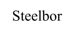 STEELBOR trademark