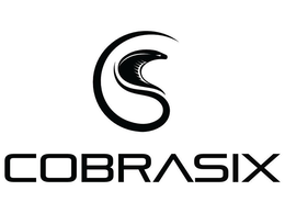 COBRASIX trademark