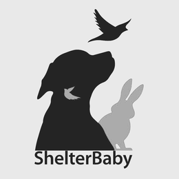 SHELTERBABY trademark