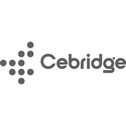 CEBRIDGE trademark