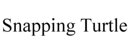 SNAPPING TURTLE trademark