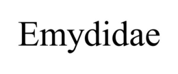 EMYDIDAE trademark