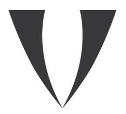 V trademark