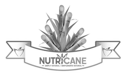 NUTRICANE ꟷ SIMPLY NATURAL / SIMPLEMENTE NATURAL ꟷ trademark