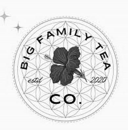 BIG FAMILY TEA EST 2020 CO. trademark