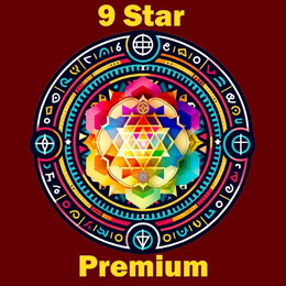 9 STAR PREMIUM trademark