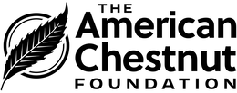 THE AMERICAN CHESTNUT FOUNDATION trademark