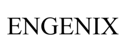 ENGENIX trademark