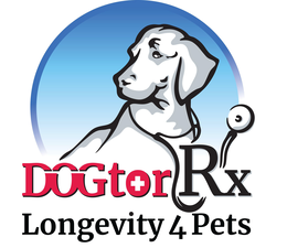 DOGTOR RX LONGEVITY 4 PETS trademark