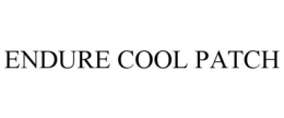 ENDURE COOL PATCH trademark