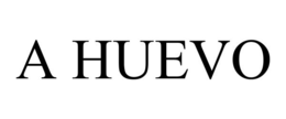 A HUEVO trademark
