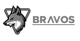 BRAVOS trademark
