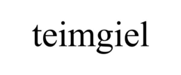 TEIMGIEL trademark