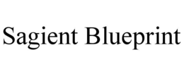 SAGIENT BLUEPRINT trademark