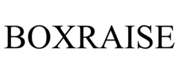 BOXRAISE trademark