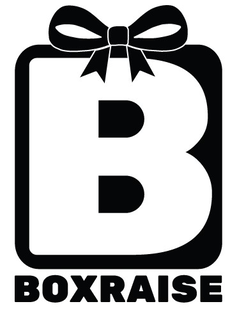 BOXRAISE trademark