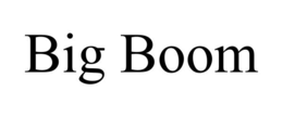 BIG BOOM trademark