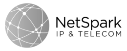 NETSPARK IP & TELECOM trademark