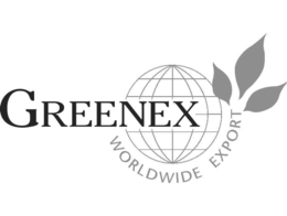 GREENEX WORLDWIDE EXPORT trademark