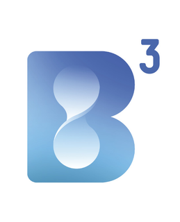 B3 trademark