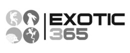 EXOTIC 365 trademark