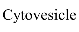 CYTOVESICLE trademark