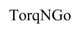 TORQNGO trademark