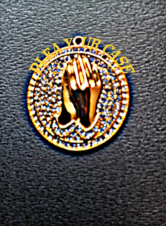 PLEA YOUR CASE trademark