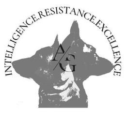 A/G INTELLIGENCE.RESISTANCE.EXCELLENCE. trademark