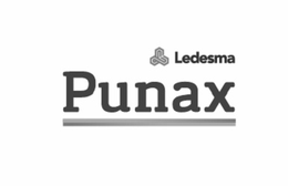 LEDESMA PUNAX trademark