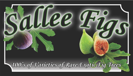 SALLEE FIGS 100'S OF VARIETIES OF RARE EXOTIC FIG TREES trademark