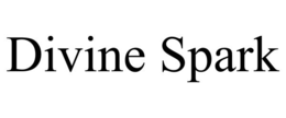 DIVINE SPARK trademark