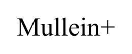 MULLEIN+ trademark