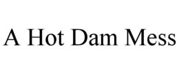 A HOT DAM MESS trademark