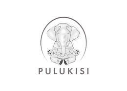 PULUKISI trademark