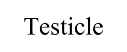 TESTICLE trademark